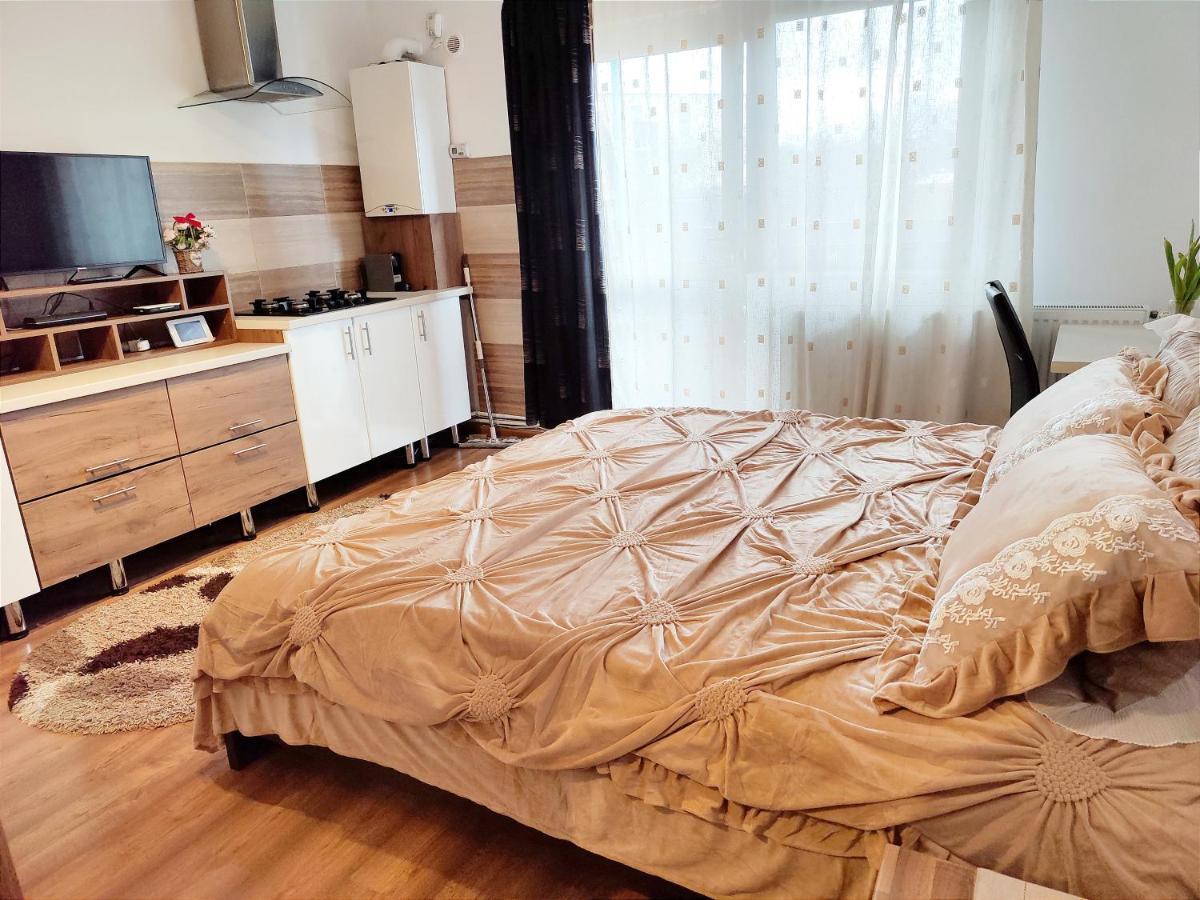 Casa de vis Lejlighed Braşov Eksteriør billede